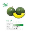 ไร่ชรินทร์พรรณ อะโวคาโด สายพันธุ์บูท 7 (3-4 ลูก/กก.) กล่อง 2 กิโลกรัม