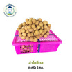 ลำไยสดพันธุ์อีดอ 5 กิโลกรัม อ. ป่าซาง จ. ลำพูน
