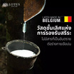 LOTUS ท็อปเปอร์ยางพารา รุ่น ENHANCE (3นิ้ว)
