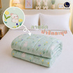 Charm ผ้าห่ม Mint Dream 160x210cm.