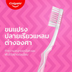 คอลเกต แปรงสีฟัน ซิกแซก กัมแคร์ เเพ็ก 3 ด้าม