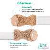 Charmiss คอนซีลเลอร์ Acne Fade Concealer 2 กรัม แพ็ก 6 ชิ้น