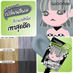Woonae ทรีตเมนท์เปลี่ยนสีผม Hair Color Treatment Platinum 40ml สีเทา (แพ็ก 6 ชิ้น)