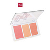 Bsc พาเลทบลัชออน Lock It Fit Luminous Face Palette 15.3 กรัม