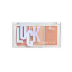 Bsc พาเลทบลัชออน Lock It Fit Luminous Face Palette 15.3 กรัม