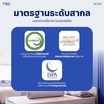 Nooz Sunny Evo Mattress ที่นอนยางพาราธรรมชาติแท้