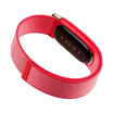 Google fitbit สายรัดข้อมือสุขภาพ GA11016-US