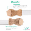 Charmiss คอนซีลเลอร์ Acne Fade Concealer 3.5 กรัม