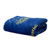 SatinPlus ผ้าห่ม Flannel ลาย Harry Potter  PF002 ขนาด 60x40 นิ้ว