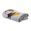 SatinPlus ผ้าห่ม Flannel ลาย Harry Potter PF003 ขนาด 60x40 นิ้ว