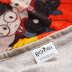 SatinPlus ผ้าห่ม Flannel ลาย Harry Potter PF004 ขนาด 60x40 นิ้ว