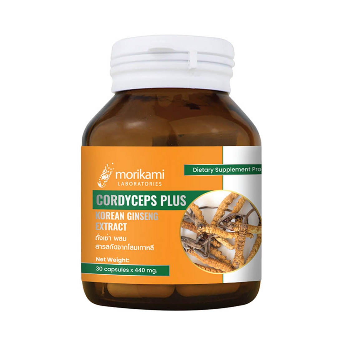 Cordyceps - Image 1