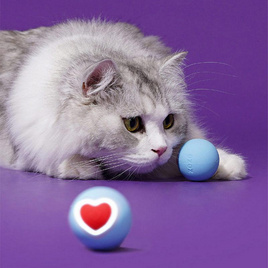 zeze Heart Ball Toy ลูกบอลอัจฉริยะ บอลหัวใจ  กลิ้งเองได้ มีไฟกระพริบ - zeze, สัตว์เลี้ยง